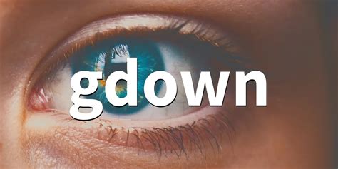 gdown folder | Download gdown folder ke hosting SSH RumahWeb