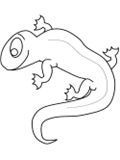 Gecko Newt And Lizard Coloring Pages Coloring Pages Of Lizards - Coloring Pages Of Lizards