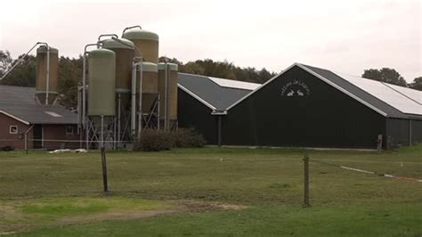 geen verdere vervolging