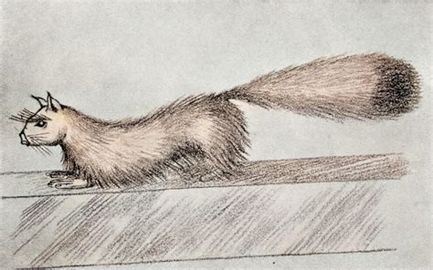 Gef The Mongoose