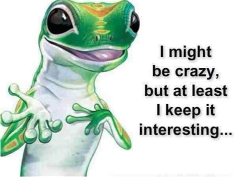 Geico Lizard Funny Quotes
