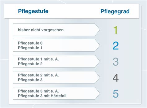 geistige behinderung pflegestufe