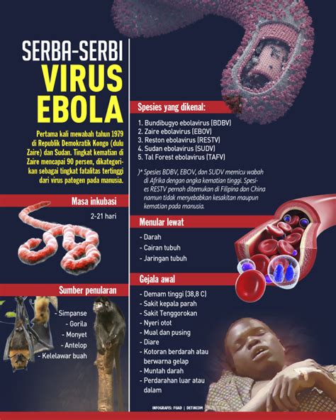 gejala penyakit ebola