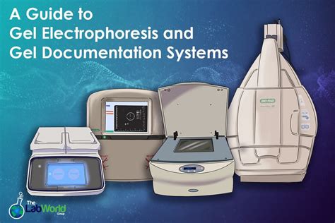 Gel Documentation System