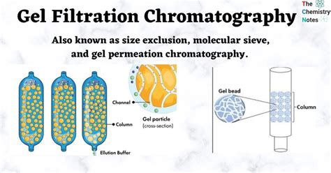 Gel Filtration Chromatography