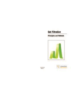 gel filtration harvard university