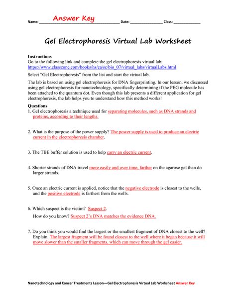 Full Download Gel Electrophoresis Virtual Lab Classzone Answers 