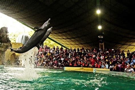 GELANGGANG SAMUDRA 👲 Cara ke Ocean Dream Samudra (Gelanggang Samudera Ancol) di