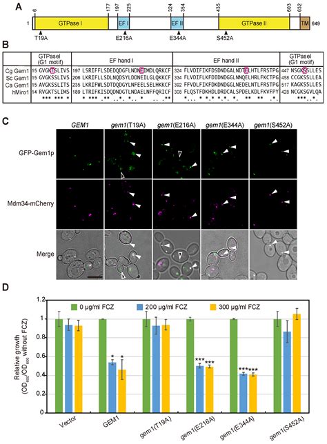 gem1 | gem1 Preloved Fashion Second Terbaik di Preloved