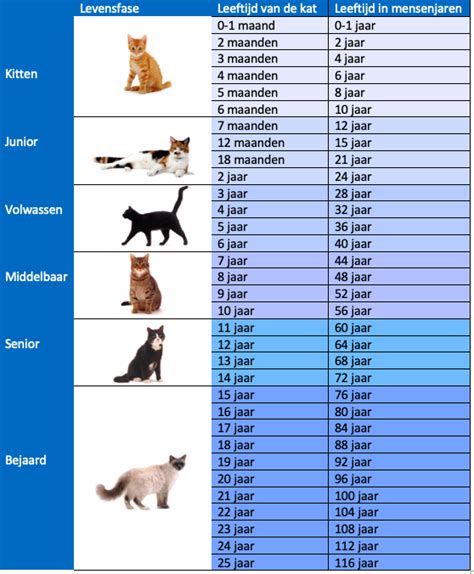 gemiddeld leeftijd kat