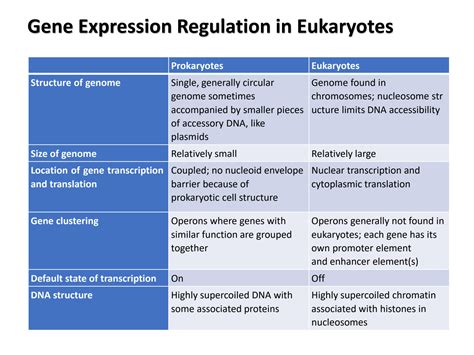 Gene Expression And Regulation Study Answers