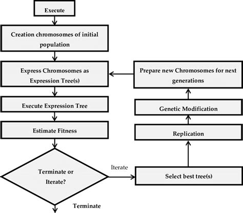 Gene Expression Programming