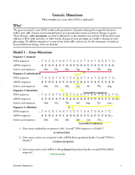 Gene Mutation Pogil Answer Key