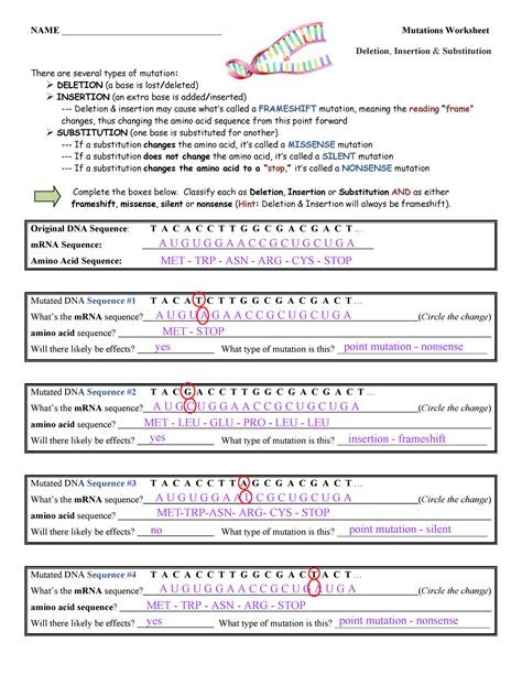 Gene Mutations Worksheet Answer Key Mdash Excelguider Com Types Of Mutations Worksheet Key - Types Of Mutations Worksheet Key