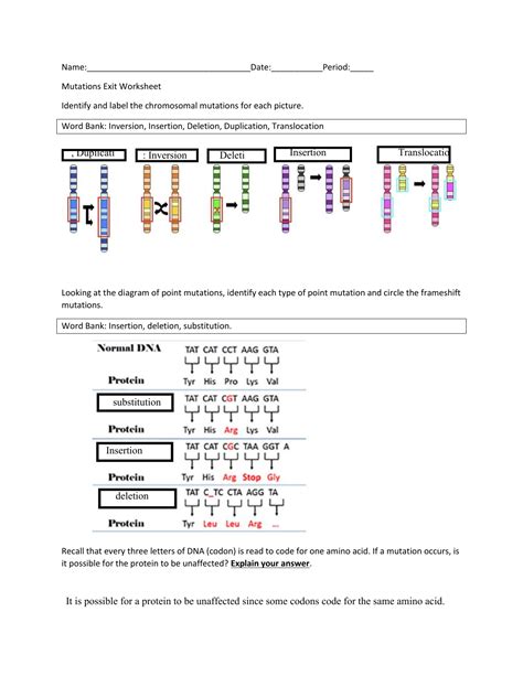 Gene Mutations Worksheet Types Of Mutations Worksheet Key - Types Of Mutations Worksheet Key