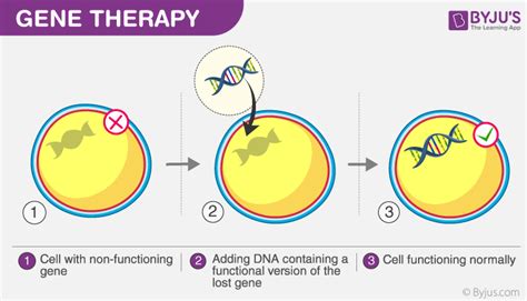 Gene Therapy Flow Chart