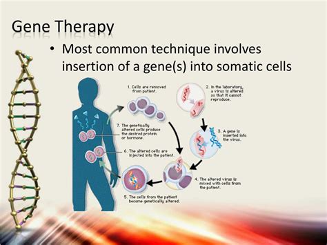 Gene Therapy Slideshare