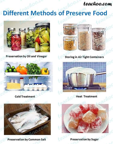 General And Home Science Food Preservation Lesson Plan Food Science Lesson Plans - Food Science Lesson Plans