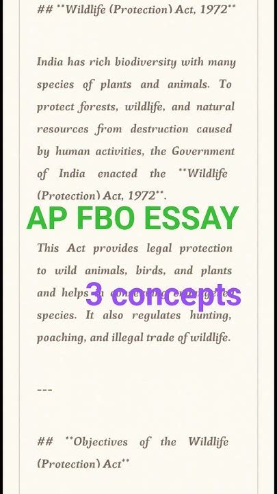 General Essays For Fbo