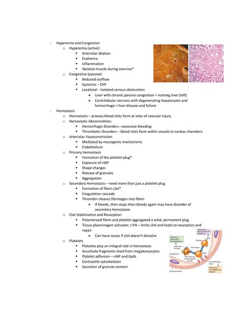 General Pathology Illustrated Lecture Notes