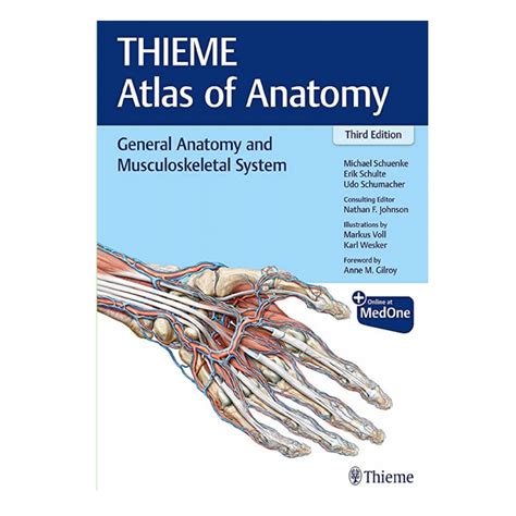 Read Online General Anatomy And Musculoskeletal System Thieme 