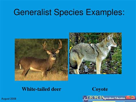 Generalist Species Examples