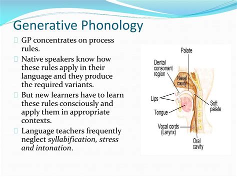 Generative Phonology
