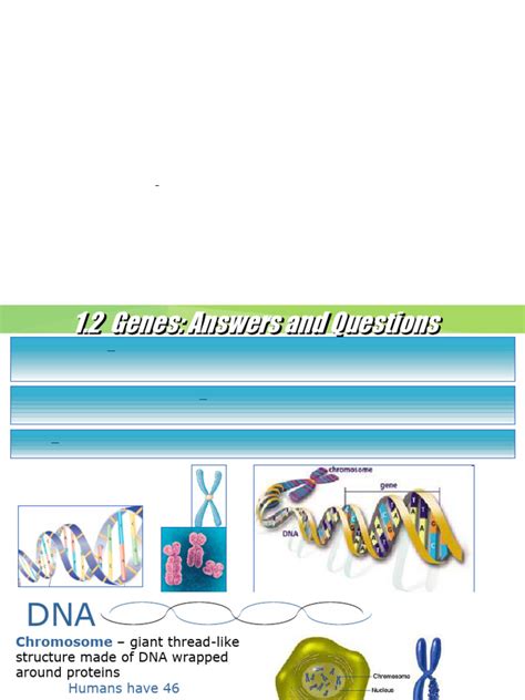genes and gene technology answer key