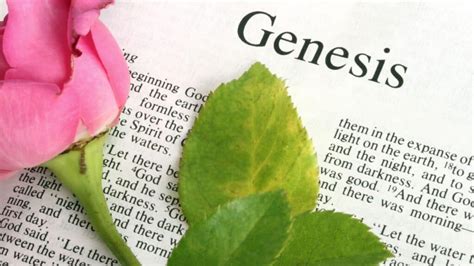 genesis definitie