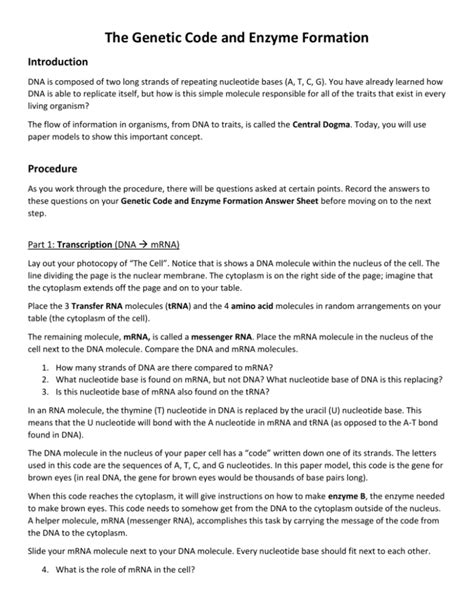 Genetic Code And Enzyme Formation Answer