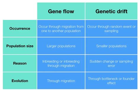 Genetic Drift Vs Gene Flow