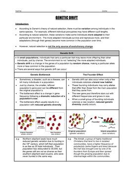 Genetic Drift Worksheet Genetic Drift Key Ldea Genelic Ap Biology Genetics Worksheet - Ap Biology Genetics Worksheet
