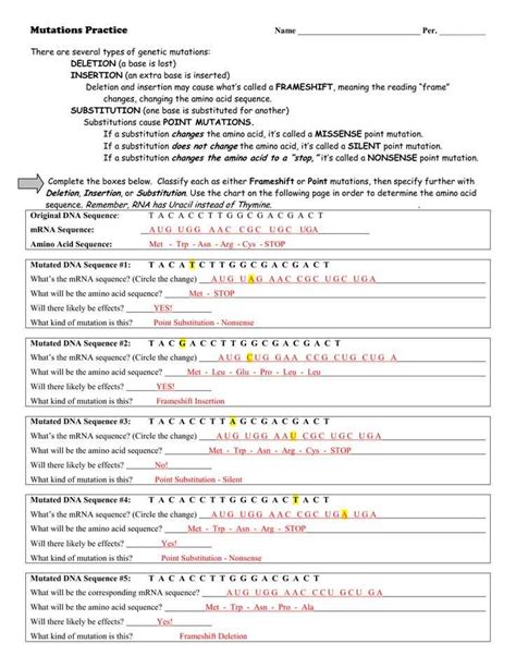 Genetic Mutation Pogil Answer Key