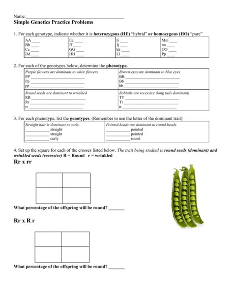 Genetic Problems Worksheet