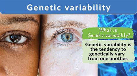 Genetic Variation National Geographic Society Variations In Science - Variations In Science