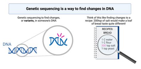 Download Genetic Analysis An In 