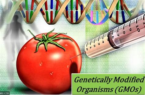 Read Genetic Engineering Genetically Modified Organisms 
