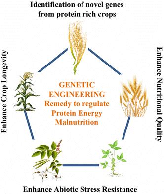 Full Download Genetic Engineering Problem 