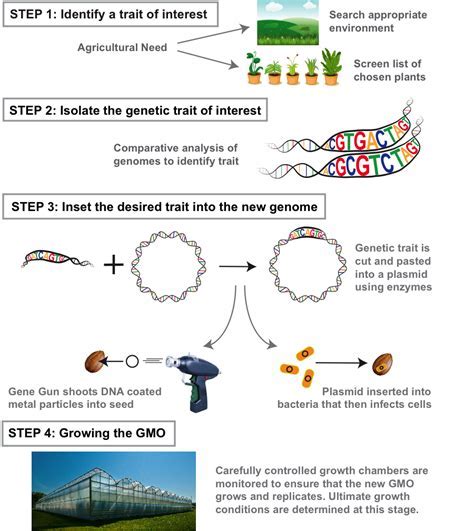 Read Genetic Engineering Research Topics File Type Pdf 