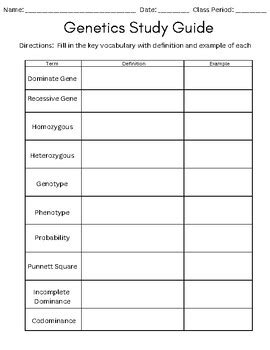 Read Online Genetic Study Guide 