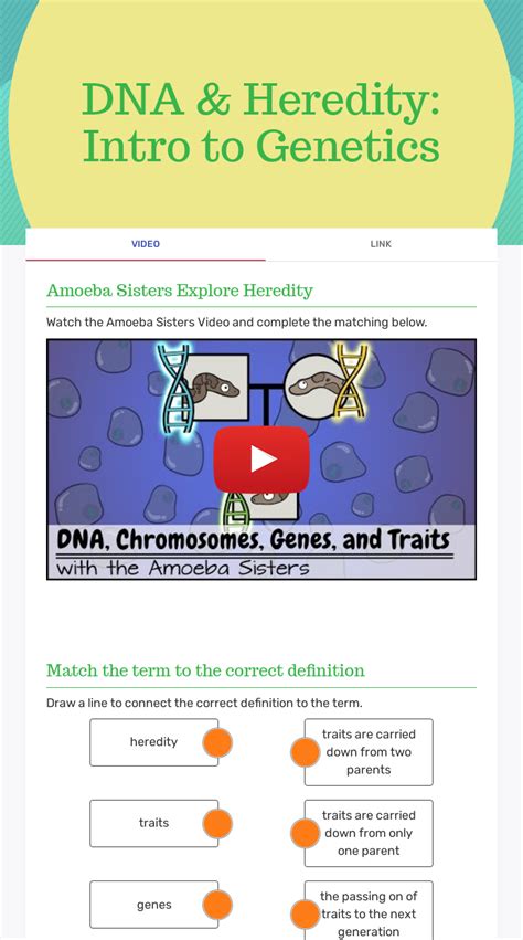 Genetics And Heredity I High School Biology Worksheets Chromosomes And Heredity Worksheet Answers - Chromosomes And Heredity Worksheet Answers