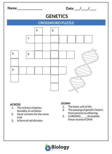 Genetics Lesson Outline Amp Worksheets Biology Online Chromosome Matching Worksheet - Chromosome Matching Worksheet