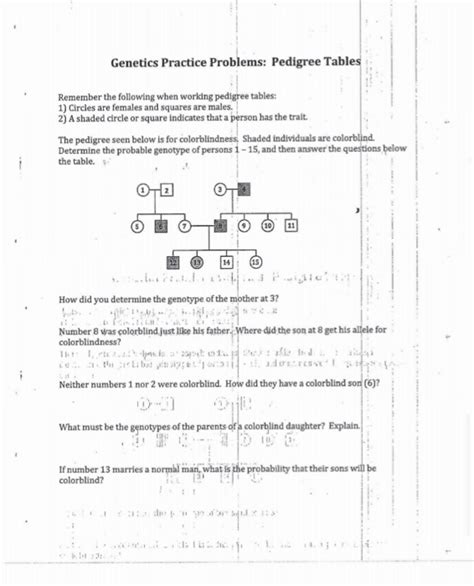 Genetics Practice Problems Pedigree Tables Answers
