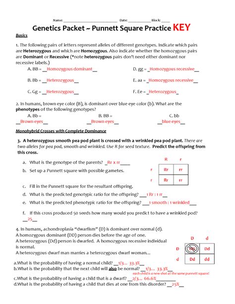 Genetics Punnett Square Practice Packet Answers
