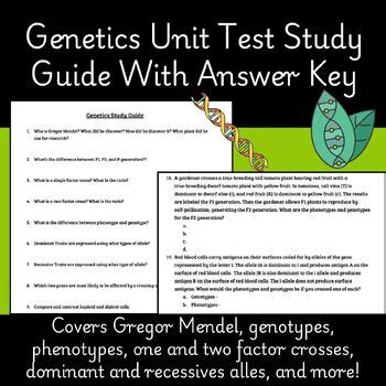 Genetics Review Guide Answer Key