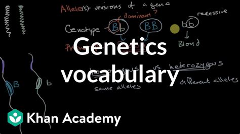 Genetics Vocabulary Video Khan Academy 8th Grade Genetics - 8th Grade Genetics