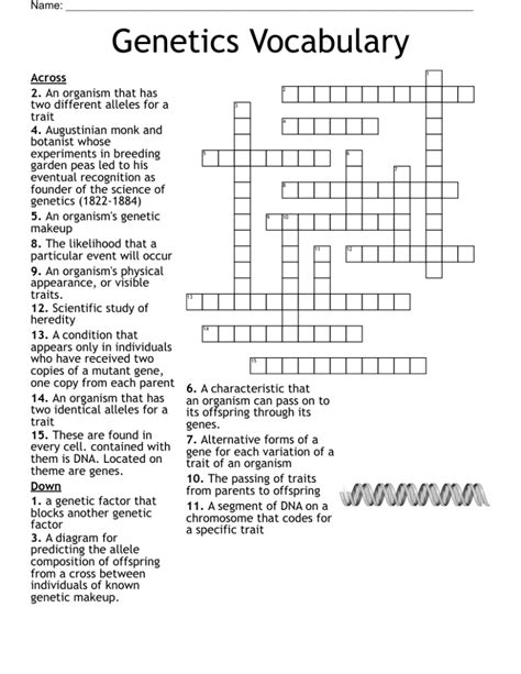 Genetics Vocabulary Worksheet Answer Key