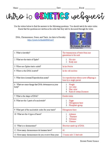 Genetics Webquest General Genetics Key