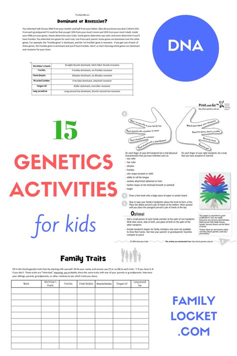 Genetics Worksheet Middle School Genetics 7th Grade - Genetics 7th Grade