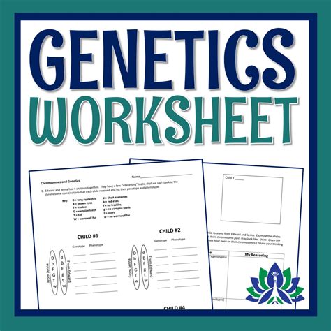 Genetics Worksheets Easy Teacher Worksheets Chromosomes And Heredity Worksheet Answers - Chromosomes And Heredity Worksheet Answers